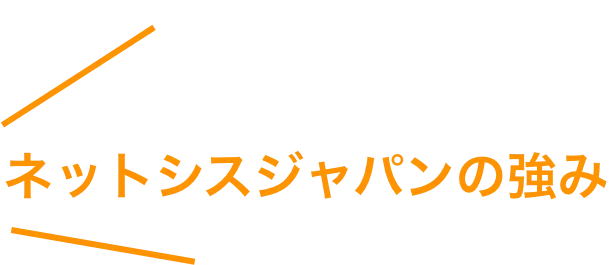 ネットシスジャパンの強み